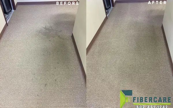 Carpet Cleaning in Louisville, KY
