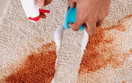 Tile & Grout Cleaning in Louisville, KY