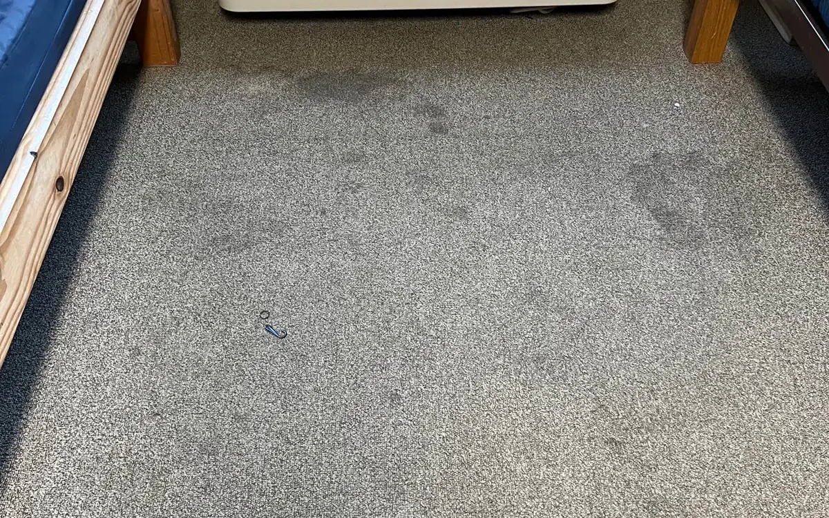 Commercial carpet cleaning for a Louisville facility