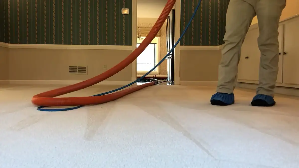 Truck-mounted equipment deep-cleaning carpet